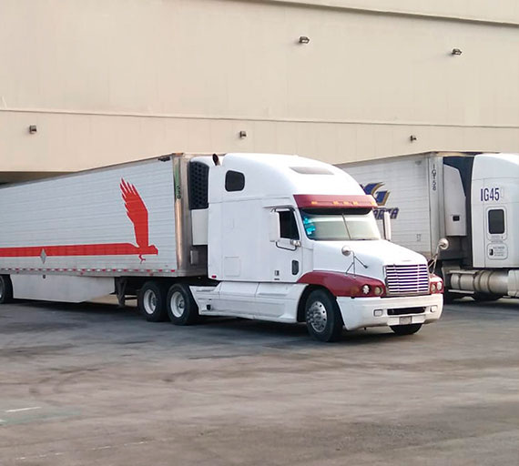 empresa de transportes refrigerados transporte terrestre de carga tractocamion en méxico